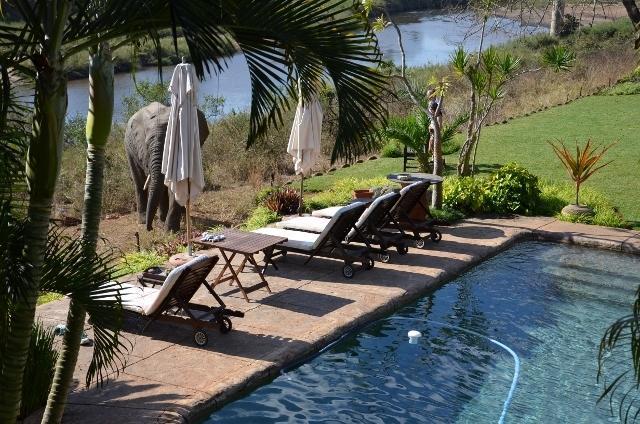 Khandizwe Kruger Villa Malalane Room photo